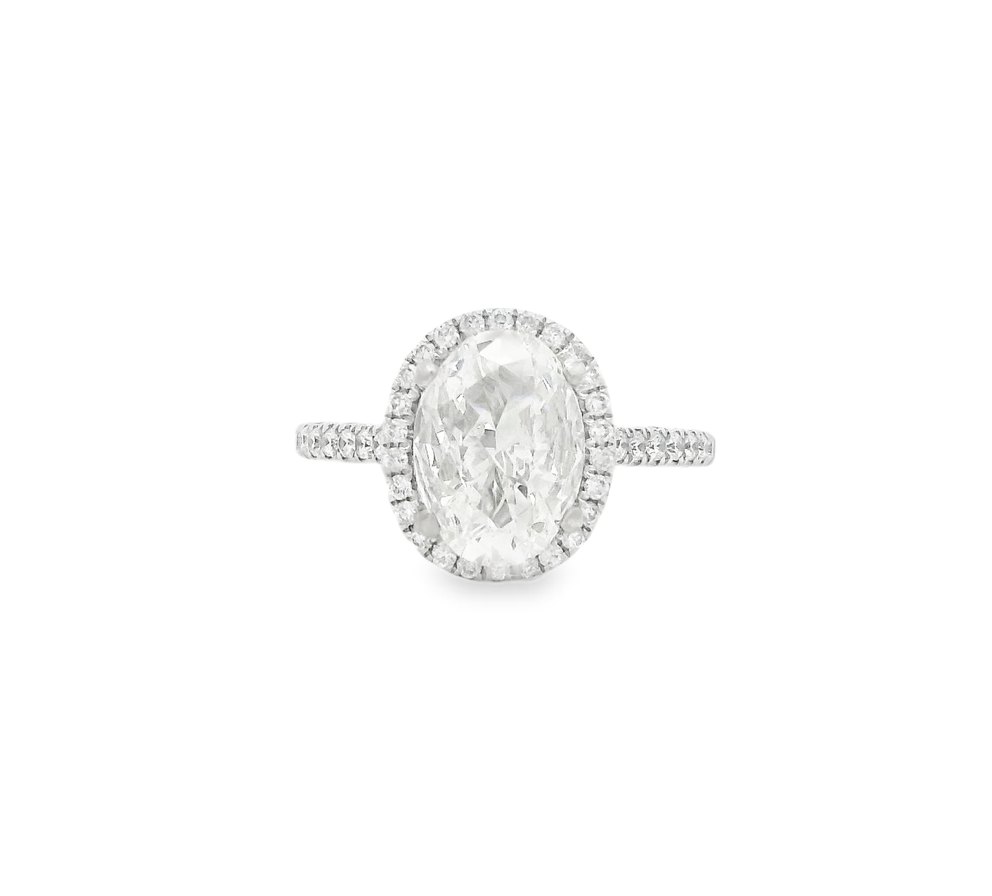 Oval Diamond Engagement Ring in 14kt White Gold